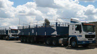 New Fleet
